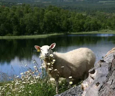 Appartement Bergfosshytta *