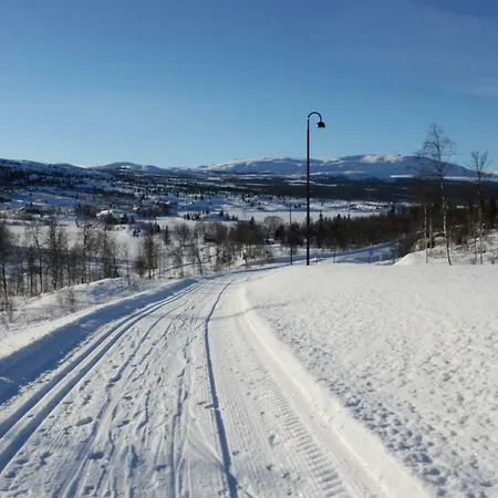 Bergfosshytta *