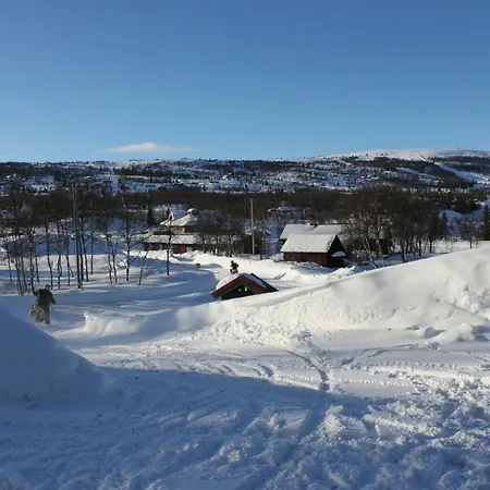 Bergfosshytta 罗恩