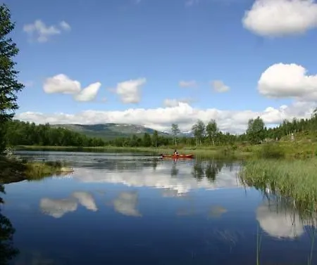 Bergfosshytta 公寓 *