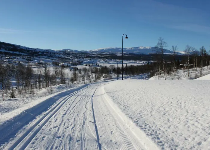 Bergfosshytta *