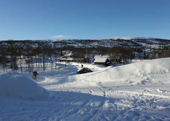 Bergfosshytta 罗恩