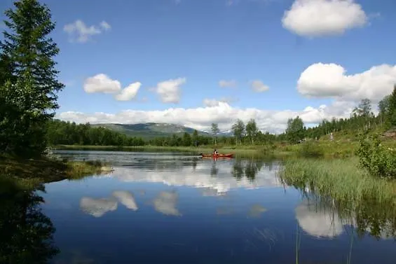 Bergfosshytta 公寓 *
